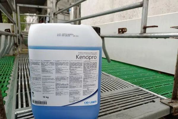 世德来【康保母猪沐浴露】入围中国猪业抗疫增效技术创新大赛候选项目