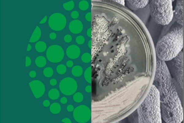 百仕肽【纳吐素P】入围中国猪业抗疫增效技术创新大赛候选项目