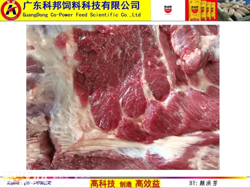 猪肉品鉴活动深圳举办，贪吃好引爆华农校友会高潮