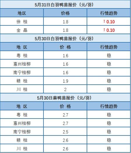 5月30日 广东、浙江水禽价格稳定，桂柳白羽鸭苗价格稳定【水禽价格指数】