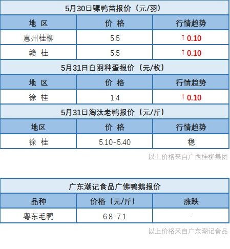 5月30日 广东、浙江水禽价格稳定，桂柳白羽鸭苗价格稳定【水禽价格指数】