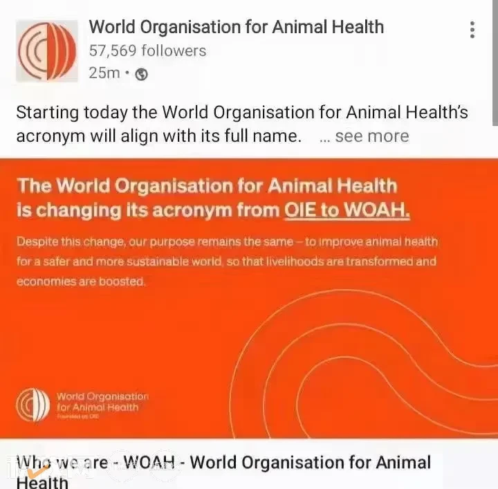 快讯！世界动物卫生组织（OIE）更名为WOAH