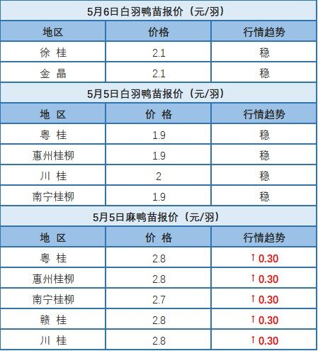 5月5日 广西麻鸭价格上涨！广东、浙江地区肉鸭价格稳定【水禽价格指数】