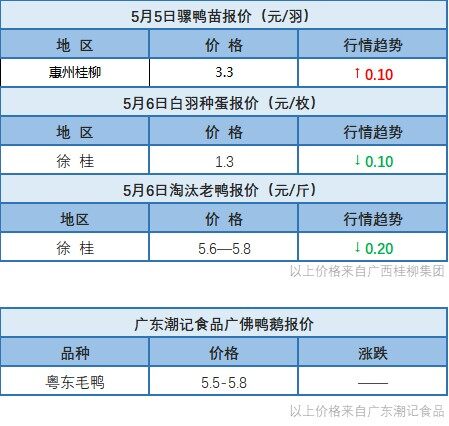 5月5日 广西麻鸭价格上涨！广东、浙江地区肉鸭价格稳定【水禽价格指数】