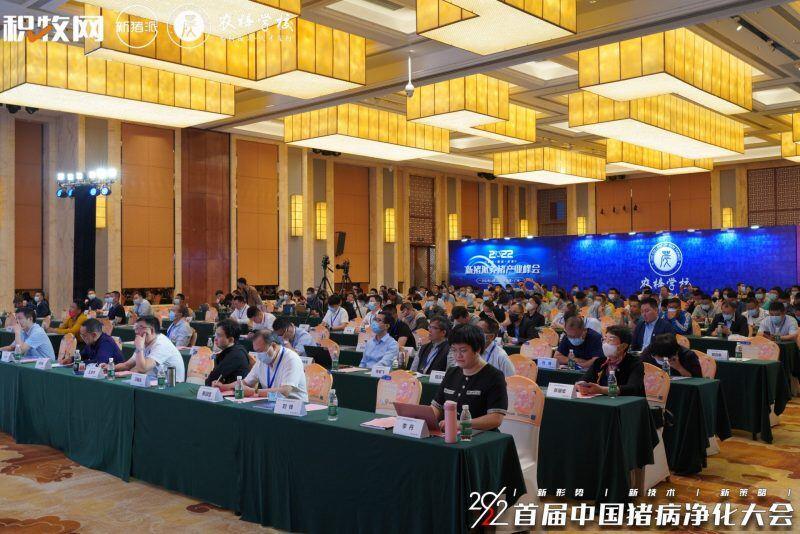 陈蕾:MAOPA™,比传统QPCR灵敏度高10-100倍的革命性分子诊断技术| 2022首届中国猪病净化大会