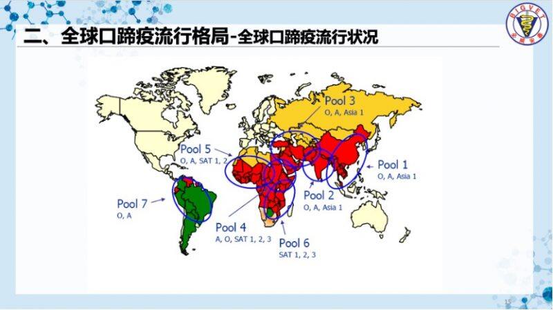 刘延麟：口蹄疫净化势在必行！必威安泰标记疫苗助力无疫区建设｜2022首届中国猪病净化大会