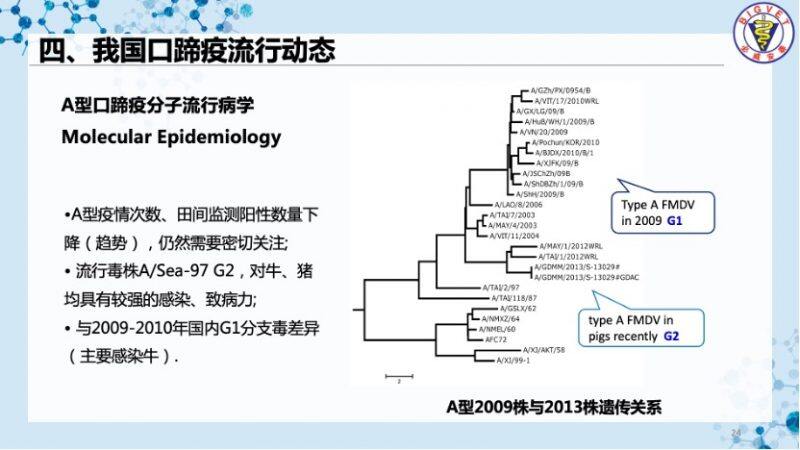 刘延麟：口蹄疫净化势在必行！必威安泰标记疫苗助力无疫区建设｜2022首届中国猪病净化大会