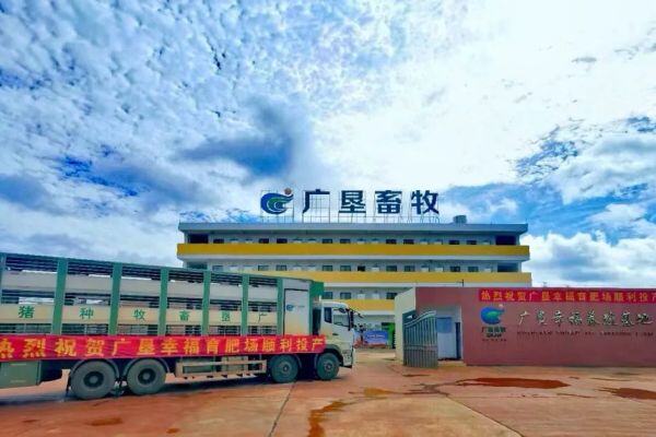 年出栏商品猪12万头，广垦幸福育肥场正式投产!