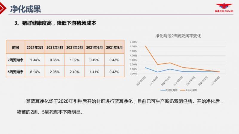 王声会：头均效益提高6376元！中芯种业蓝耳病净化体系详解| 2022首届中国猪病净化大会