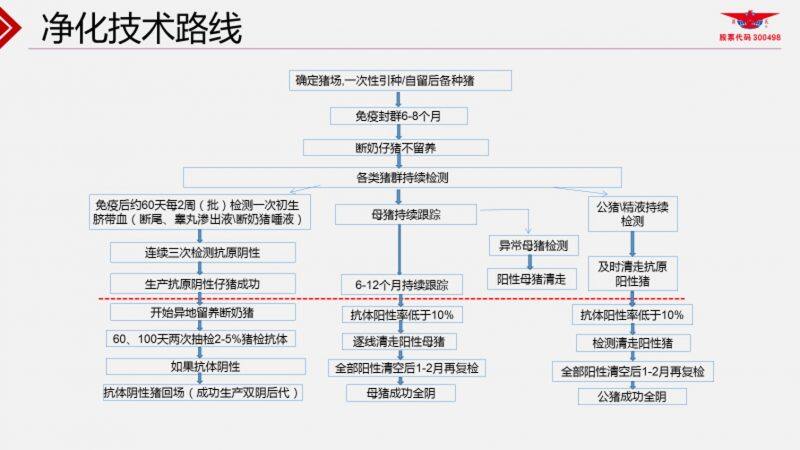 王声会：头均效益提高6376元！中芯种业蓝耳病净化体系详解| 2022首届中国猪病净化大会