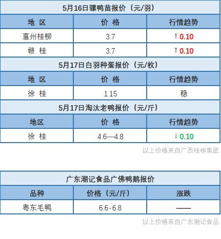 5月16日 浙江、福建水禽价格稳定，桂柳报价麻鸭苗价格上涨【水禽价格指数】