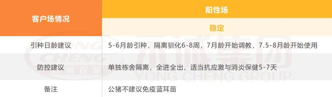 引种、饲养蓝耳双阴猪有难度？永诚集团来为您支招