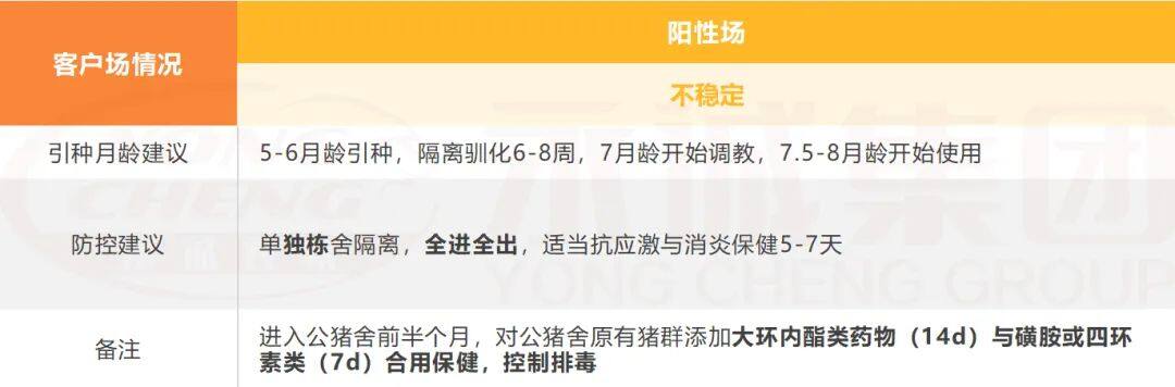 引种、饲养蓝耳双阴猪有难度？永诚集团来为您支招