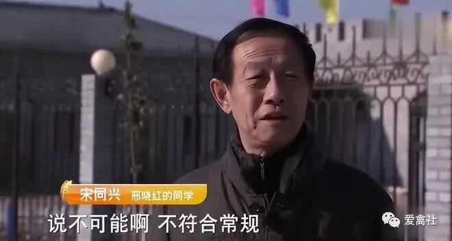 河北农民在地下4米养鸡，为什么一年总比同规模养殖户，多赚200万