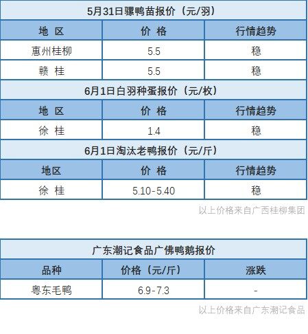 5月31日 廣東、浙江水禽價格穩定，桂柳水禽價格穩定【水禽價格指數】