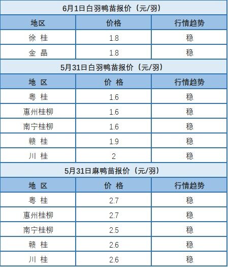 5月31日 廣東、浙江水禽價格穩定，桂柳水禽價格穩定【水禽價格指數】