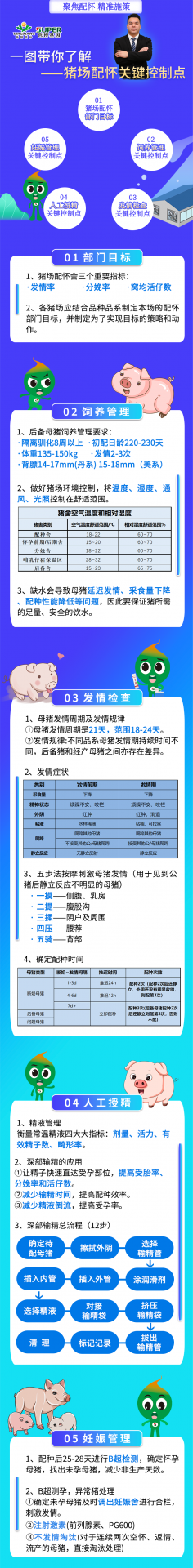 让母猪实现多生少死！？首先谨记母猪配怀环节关键要点