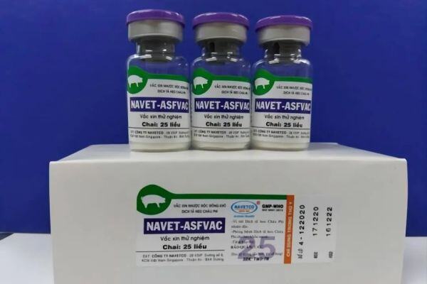 重磅!越南将上市全球首款商用非洲猪瘟疫苗预计6月3日发布！