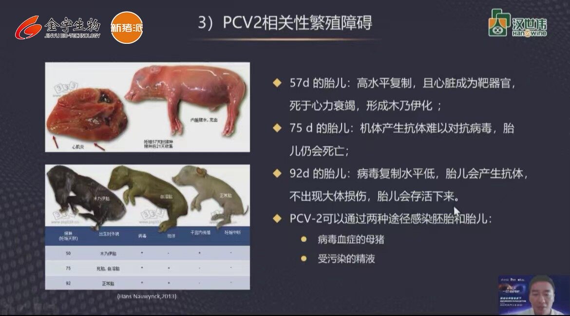 养猪技术：超300万头份田间试验的圆支防控新方案