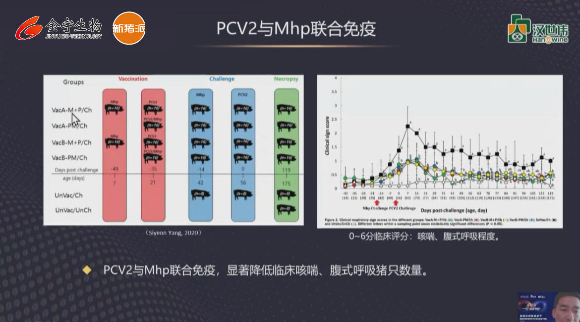 养猪技术：超300万头份田间试验的圆支防控新方案