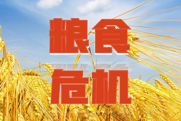 小麦、玉米价格2年内翻了倍！史上6次全球粮食危机发生缘由竟是……
