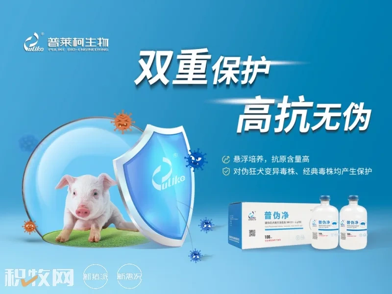 警惕!特大暴雨或影响江西787万头猪!广东、广西、福建等地未来暴雨持续下10天