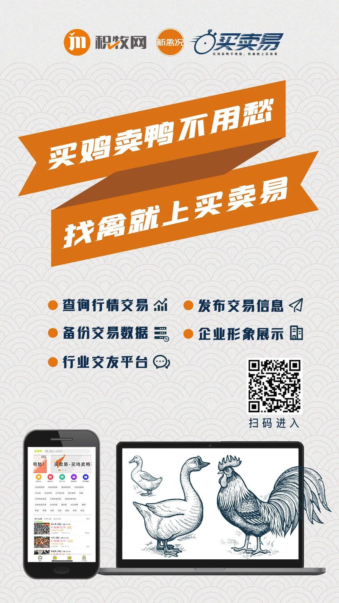 6月7日 广东、浙江、福建、两湖水禽价格稳定，桂柳白羽鸭苗、麻鸭苗价格普涨【水禽价格指数】