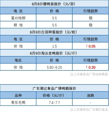 6月8日 广东、浙江、福建、两湖水禽价格稳定，桂柳白羽鸭苗、麻鸭苗价格上涨【水禽价格指数】