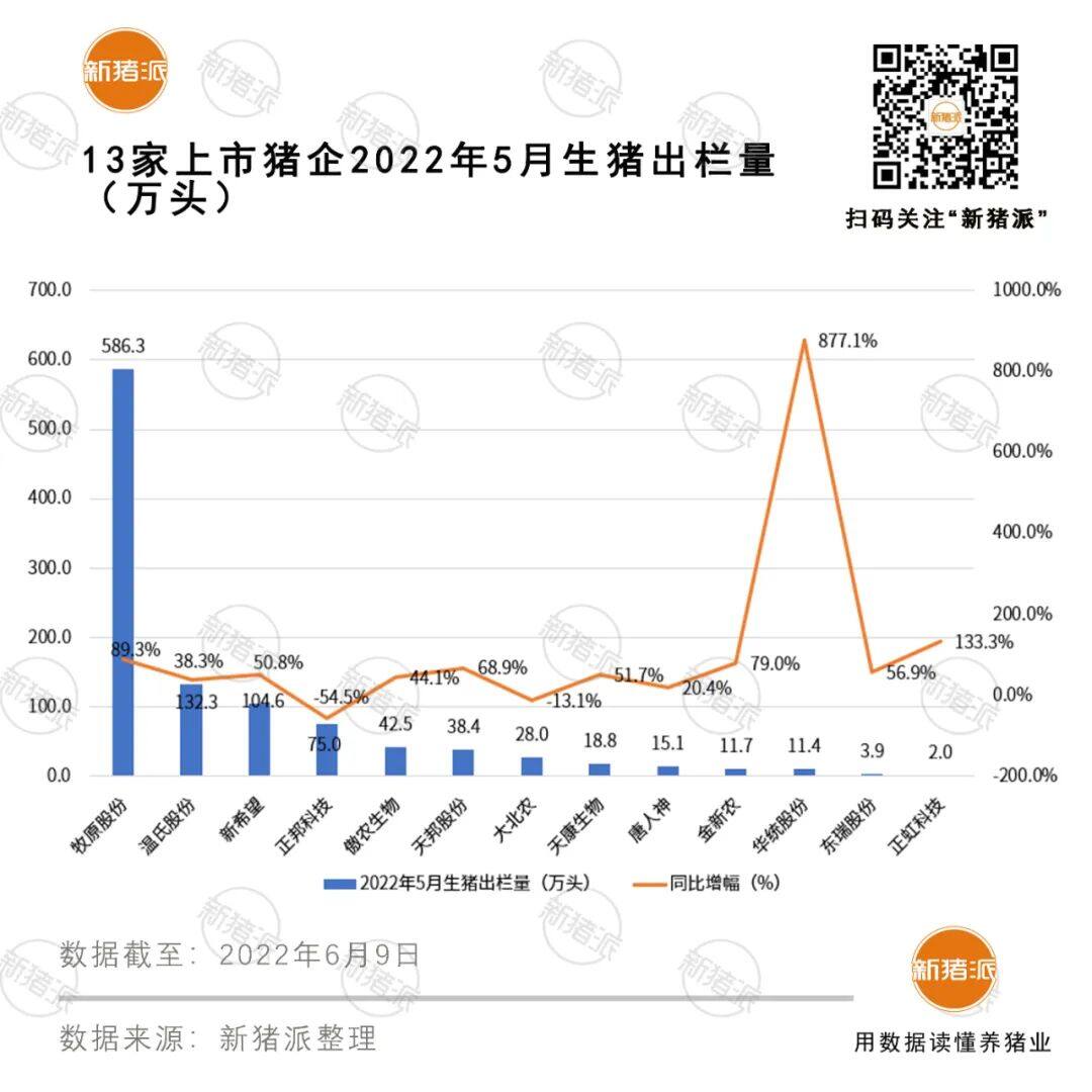 疯狂！13家上市猪企5月卖猪1070万头，牧原独占一半，傲农创历史新高！