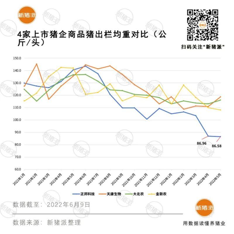 疯狂！13家上市猪企5月卖猪1070万头，牧原独占一半，傲农创历史新高！