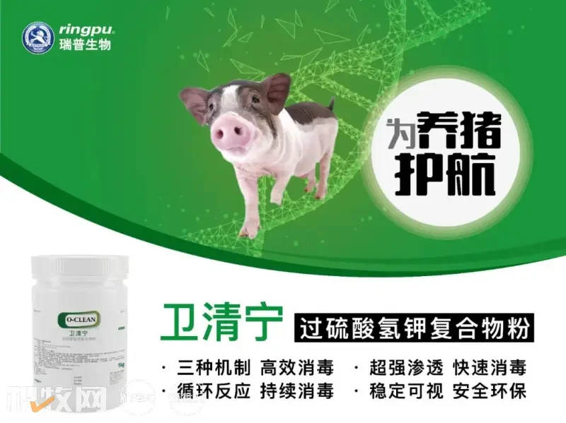 月8日：猪价趋于稳定，江西涨破8元/斤【瑞普生物·猪价指数】"