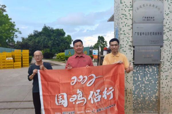 潮兴家禽：年出栏鸡苗约2000万只，优先做好沙栏鸡保种，未来规划建设饲料厂、屠宰厂等|国鸡侣行
