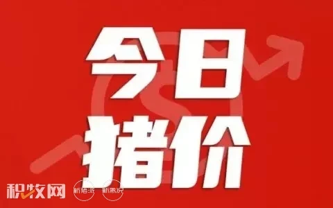 6月17日：涨涨涨！广东破9冲10【瑞普生物·猪价指数】