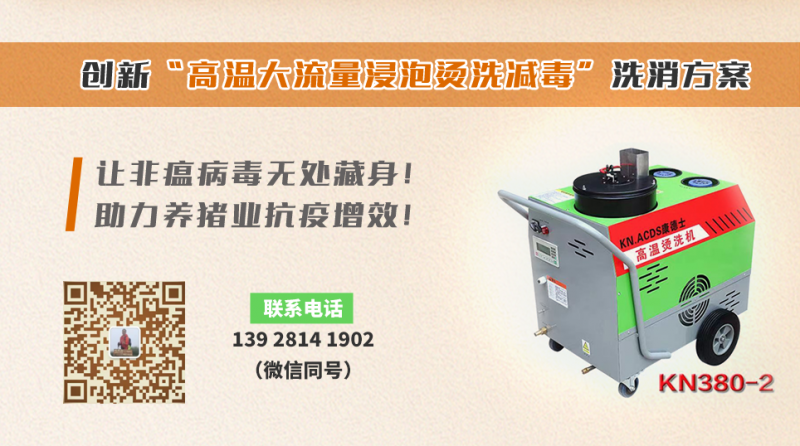 投资5.2亿元!重庆设立项目将培育2400头法系GGP种猪|6.16新猪派简报