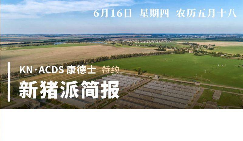 投资5.2亿元!重庆设立项目将培育2400头法系GGP种猪|6.16新猪派简报