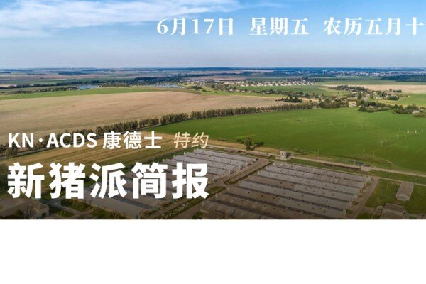 6.17新猪派简报|中央再收储4万吨冻猪肉！正邦表示毛利率-45.88%为成本提升所致