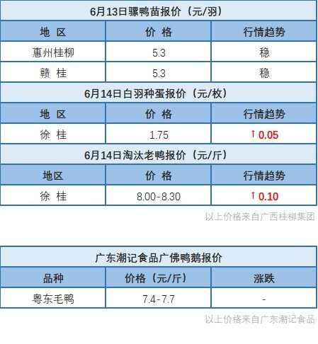 6月13日 浙江、福建水禽價格穩定，桂柳水禽價格以穩為主【水禽價格指數】