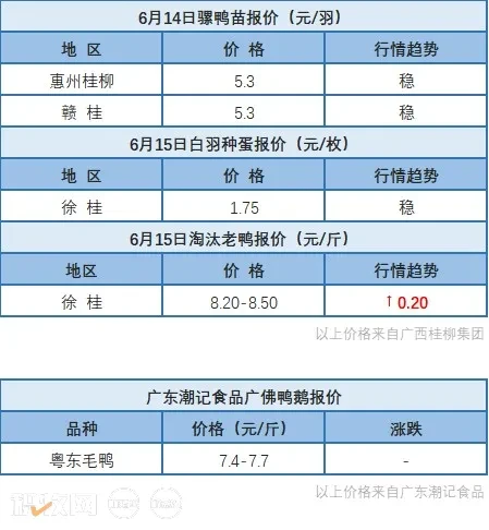 6月14日 广东水禽价格稳定，桂柳白羽鸭苗价格下调【水禽价格指数】