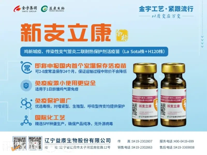 4.5元/只!青脚麻苗价重回高峰,料价疯涨!华中苗价显疲态,多地暴雨冲击养户投苗信心【苗价分析】