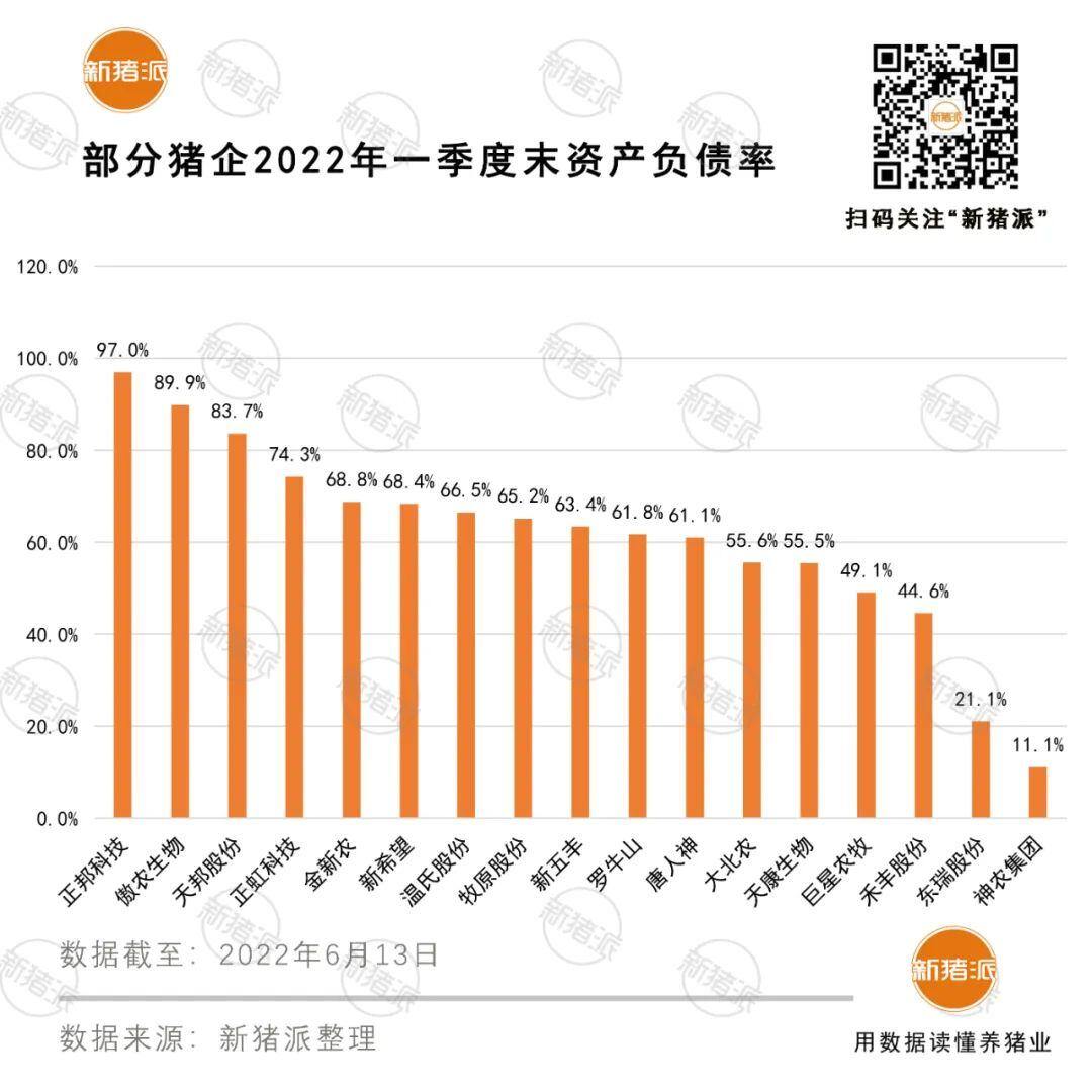 被困在黎明前的正邦:成本30.15元/公斤,负债率97%,亏损212亿元...