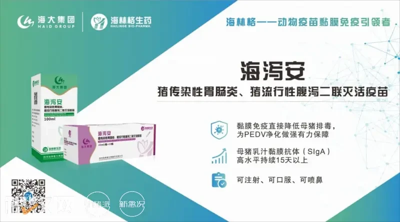 四川海林格【海泻安】入围中国猪业抗疫增效技术创新大赛·第二季候选项目