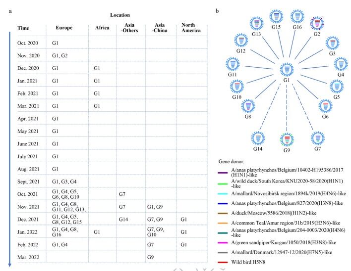 陈化兰院士最新研究显示，新型H5N1对鸡群具有高致病性，我国疫苗仍能够有效防护H5N1