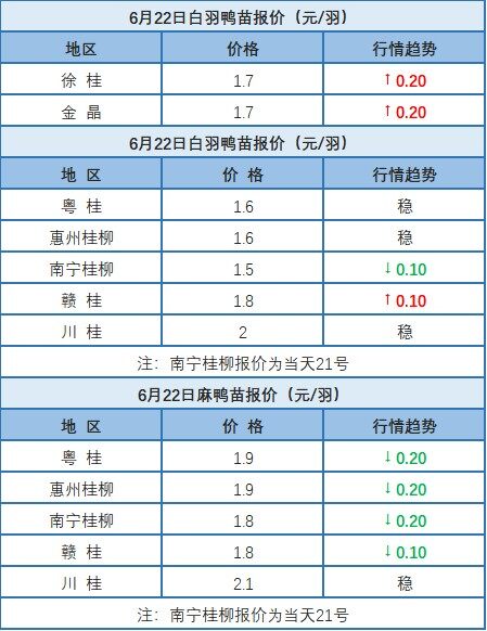 6月21日 廣東、浙江、福建、兩湖水禽價格穩定，桂柳麻鴨價格下調【水禽價格指數】