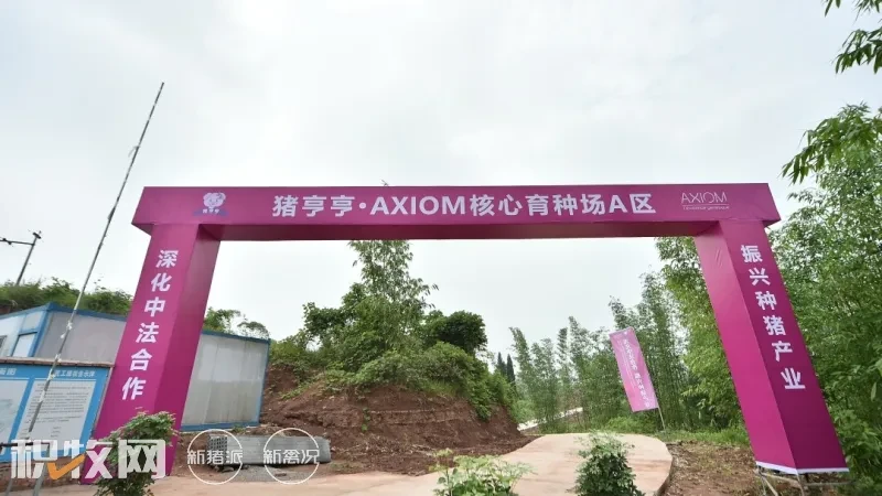 法国AXIOM中国核心育种场落地重庆，深化中法遗传育种交流国际合作