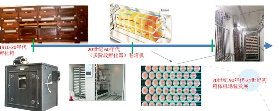 从日孵几万到数十万，孵化器的发展史就是家禽人的自豪史