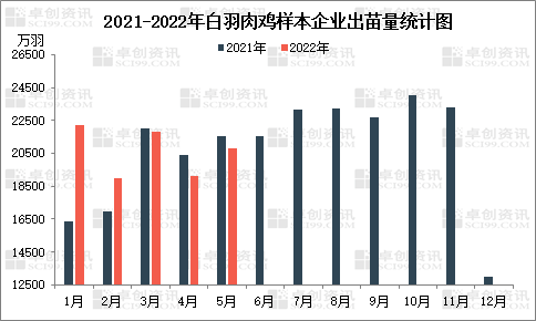 三季度白羽肉雞苗價格偏弱運行，孵化環節難有盈利