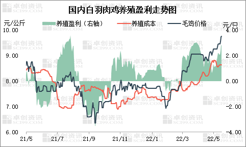 三季度白羽肉雞苗價格偏弱運行，孵化環節難有盈利