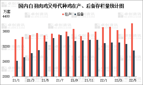 三季度白羽肉雞苗價格偏弱運行，孵化環節難有盈利