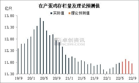 6月下旬蛋价基本触底　三季度将开启上涨模式