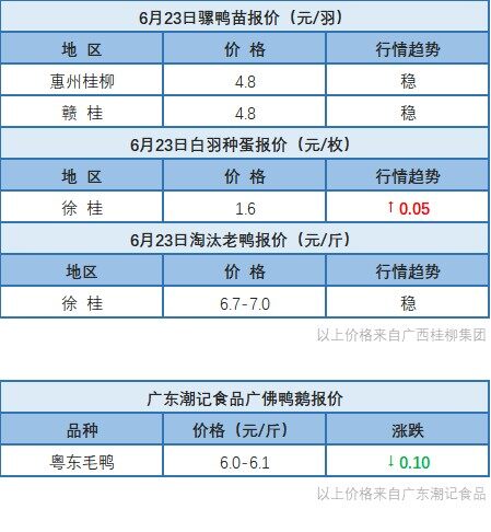 6月22日 广东、浙江、福建、两湖水禽价格稳定，桂柳麻鸭价格稳定【水禽价格指数】